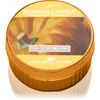 Image de Kringle Candle Sugar Pumpkins bougie chauffe-plat 42 g