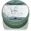 Image de Kringle Candle Winter Cypress bougie chauffe-plat 42 g