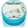 Image de Kringle Candle Eucalyptus & Cotton bougie chauffe-plat 42 g