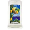 Image de Kringle Candle Aegean Zest bougie parfumée 623 g