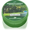 Image de Kringle Candle Spanish Moss bougie chauffe-plat 42 g