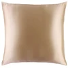 Image de Slip - Taie d'oreiller en pure soie - 80X80 Crème visage 1 pieces unisex