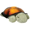 Image de Cloud B Jouet Twilight Turtle (cb7323-zz)