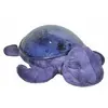 Image de Cloud B Jouet Tranquil Turtle Ocean (cb7423-pr)