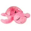 Image de Cloud B Jouet Tranquil Turtle (cb7423-pk)