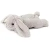 Image de Cloud B Jouet Dream Buddies (cb7472-bug)