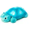 Image de Tortue Twinkling Twilight Aqua
