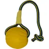 Image de EVERLASTING Jouet pour Chien Swing N Fling 8 X 6 X 28 cm