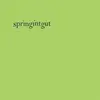 Image de Springintgut EP