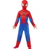 Image de Rubies Costume Classique De Z Boy Spiderman