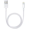 Image de Apple Câble Lightning vers USB-A - 0,5 mètre - Blanc