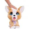 Image de Hasbro Jouet éducatif Furreal Pet Poopalots Corgi
