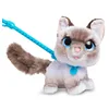 Image de Just Play Peluche Interactive Chaton Marcheur FurReal, Chaton Marcheur en Peluche de 20 cm de Haut avec Effets sonores, Peluches, Jouets pour Enfants de 4 Ans et Plus, 22.86