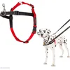 Image de Harnais de contrôle HALTI, Taille M, Pour que votre chien arrête de tirer sur sa laisse, Design léger et les sangles rembourrées en neoprene, Harnais de anti-traction pour chiens de taille moyenne