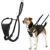 Image de Harnais Anti-Traction HALTI - pour Que Votre Chien arrête de Tirer sur sa Laisse, Réfléchissant, Sangle de poitrail et des Pattes Avant rembourrée, Harnais pour Petits Chiens (Taille XS, Noir)