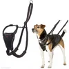 Image de Harnais anti-traction HALTI - Pour que votre chien arrête de tirer sur sa laisse, Réfléchissant, sangle de poitrail et des pattes avant rembourrée, Harnais pour petits chiens (Taille S, Noir)
