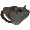 Image de MIUT Petit Meuble grimpeur pour Chat - Étagère Murale pour Chat - Stimulation mentale pour Chat d'intérieur - Durable et réglable - Résistant à l'eau et aux Taches - Convient pour Grimper et Jouer