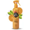 Image de Pet Head Ditch The Dirt Spray Désodorisant pour Chien | Parfum d’Orange | Désodorise et Élimine Les odeurs | Toilettage Professionnel | Formule Douce pour Chiots | 300ml