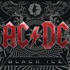 Image de Black Ice (double vinyle)