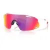 Image de Oakley Homme Cybr Dyno Lunettes De Soleil
