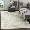 Image de SAFAVIEH Tapis de Sol Vieilli pour Salon, Salle à Manger, Chambre à Coucher - Adirondack Collection, Tapis à Poil Court, Ivoire et Ardoise, 122 X 183 cm