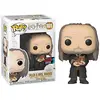 Image de POP Funko Compatible avec Harry Potter 101 Filch & Mrs Norris Fall Convention 2019