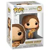 Image de Funko Figurine D'hermione Avec Pattenrond Harry Potter