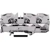 Image de Borne de passage WAGO 2010-1301 10 mm ressort de traction Affectation: L gris 1 pc(s)