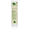 Image de Avon Cannabis Sativa Oil Nourish & Calm baume à lèvres à l'huile de chanvre 4,5 g