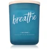 Image de DW Home Zen Breathe bougie parfumée 425 g