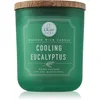 Image de DW Home Signature Cooling Eucalyptus bougie parfumée 326 g