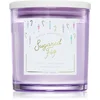 Image de DW Home Winter Wonderland Sugared Fig bougie parfumée 374 g