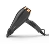 Image de BaByliss Sèche-cheveux Air Pro avec Diffuseur - Fabriqué en Italie, Moteur Professionnel AC, Sèche-cheveux puissant 2200W, Technologie ionique Anti-Frisottis, 2 températures & 2 vitesses, Noir, 6719DE