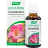 Image de A. VOGEL - Complément alimentaire - Réduit les douleurs articulaires, les rhumastimes et favorise la circulation sanguine - Extrait de Plante Fraîche d'Harpagophytum - 50 ml