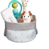 Image de Sophie la Girafe - Corbeille de Naissance - Jouet d'Eveil - Les essentiels de bébé - 1 Doudou, 1 lange, 1 jouet à mâcher et 1 hochet dans un superbe panier