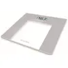 Image de TERRAILLON TP1000 GLASS 15435 TP1000GLASS