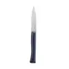 Image de Couteau office Intempora N°225 inox 10 cm Opinel