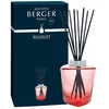 Image de Maison Berger - BOUQUET TERRA ROUGE Diffuseurs et parfums d'intérieur 237 ml unisex