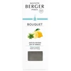 Image de Maison Berger - BOUQUET GLACON ZESTE VERVEINE Diffuseurs et parfums d'intérieur 1 pieces unisex