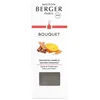 Image de Maison Berger - BOUQUET GLACON ORANGE CANNELLE Diffuseurs et parfums d'intérieur 1 pieces unisex