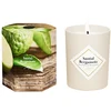 Image de MY JOLIE CANDLE - Santal Bergamotte Bougies 75 g female