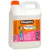 Image de CLÉOPÂTRE Colle Vinyl'Médium 3 en 1 en 2 kgs
