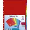 Image de Viquel - Lot de 24 Intercalaires Maxi A4 avec perforation spéciale pour porte vues GEODE à pochettes amovibles