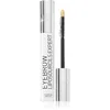 Image de Talika Eyebrow Liposourcils Expert sérum stimulant croissance des sourcils 10 ml