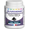 Image de JUVAMINE Charbon Végétal 1000 Mg, Digestion, Ballonnements, Flatulences, Gaz, Aide à Réduire l'excès de Flatulences après un repas, Programme de 1 mois, 120 Gélules, Fabriqué en France