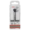 Image de Bosch Professional 1 x Mèches à façonner à mise rapportée en carbure (Ø 15 mm, accessoires perforateurs)