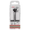 Image de Bosch Professional 1 x Mèches à façonner à mise rapportée en carbure (Ø 18 mm, accessoires perforateurs)