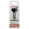 Image de Bosch Professional 1 x Mèches à façonner à mise rapportée en carbure (Ø 28 mm, accessoires perforateurs)