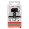 Image de Bosch Professional 1 x Mèches à façonner à mise rapportée en carbure (Ø 36 mm, accessoires perforateurs)