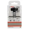 Image de Bosch Professional 1 x Mèches à façonner à mise rapportée en carbure (Ø 38 mm, accessoires perforateurs)